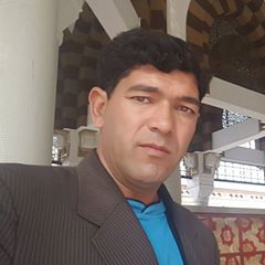 Najaf Ali