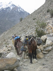 Hussainův kůň i osel nosí náklad po ledovci Baltoro na Concordii